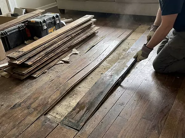 Water Damage Drying in Moreland