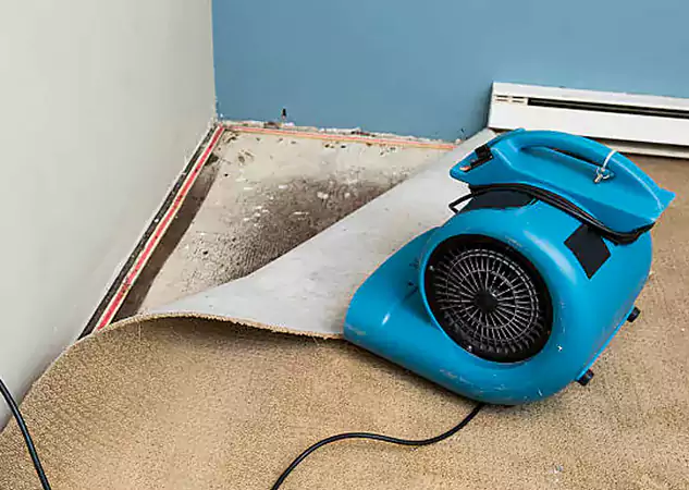 Your Water Damage Experts in Moreland, GA