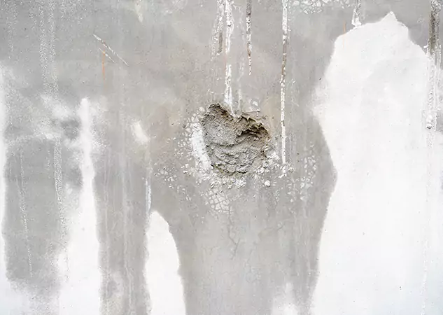 Your Mold Mitigation Solutions Partner in Moreland, GA