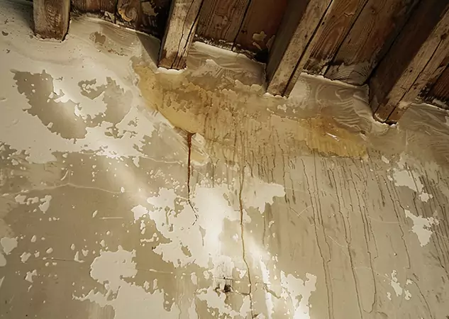 Your Trusted Restoration Company in Moreland, GA