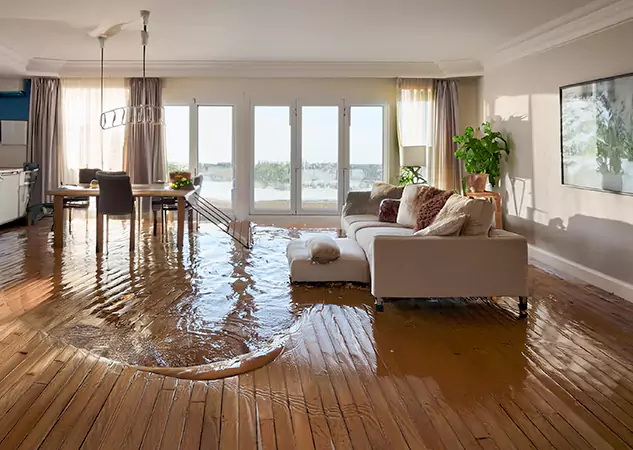 Your Water Removal Specialists in Moreland, GA