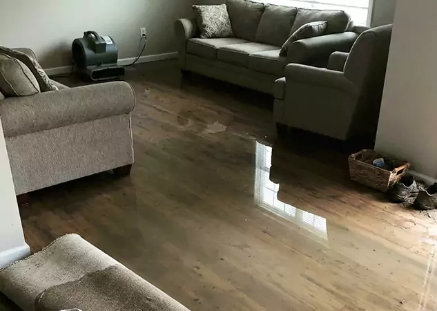 Your Trusted Restoration Company in Moreland, GA