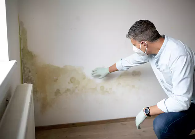Reach Our Remediation Team Before Damage Grows in Moreland, GA!