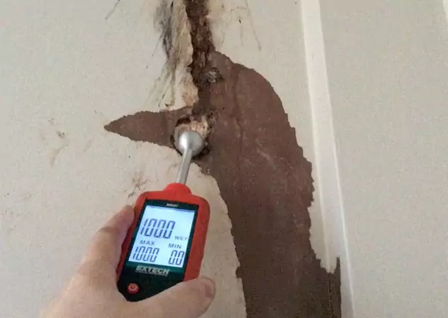 Your Water Damage Assessment Partner in Moreland, GA