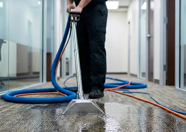 Your Water Damaged Carpet Restoration Partner in Moreland, GA
