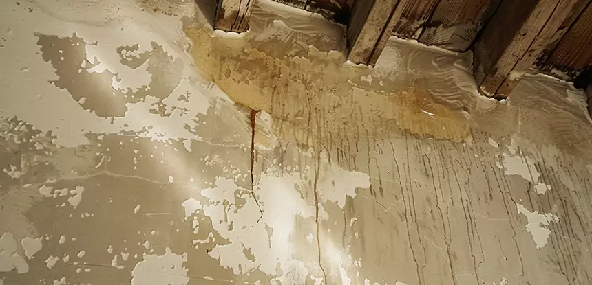 Professional Attic Water Damage Repair Services in Moreland, GA