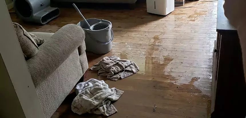 Professional Basement Water Remediation Services in Moreland, GA