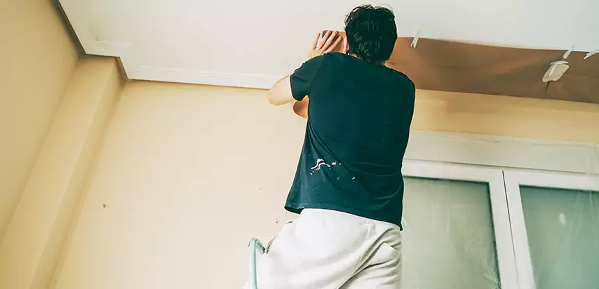 Ceiling Water Damage Repair in Moreland