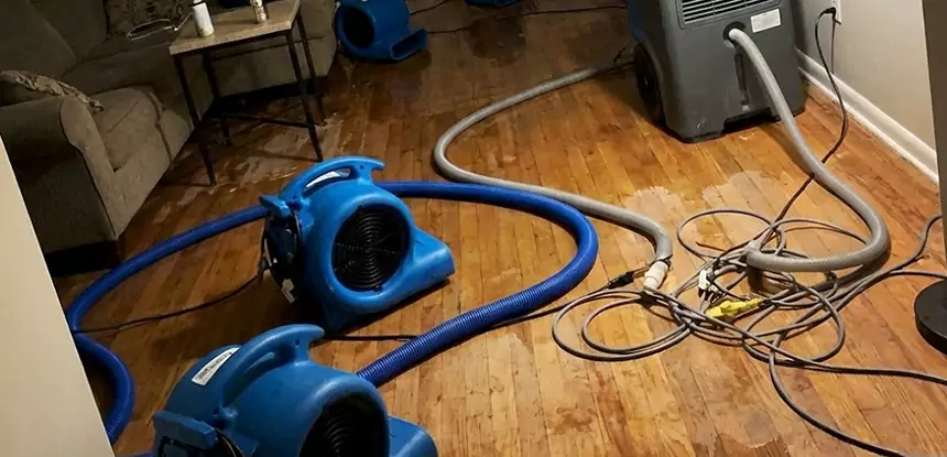 Basement Flood Restoration Services in Moreland