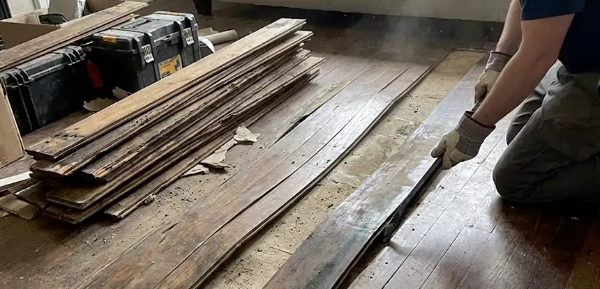 Wood Rot and Fungus Repair in Moreland