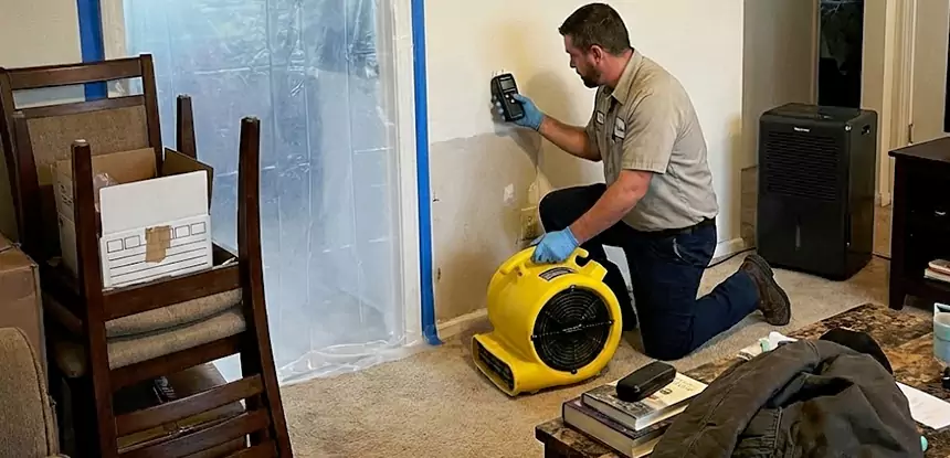 Carpet Water Damage Repair Moreland