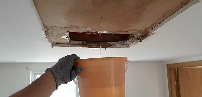Ceiling Mold Repair Moreland