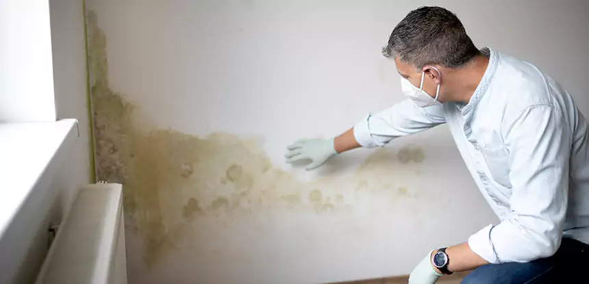 Mold and Water Damage Repair in Moreland