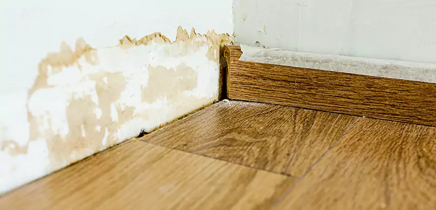 Professional Fix Water Damaged Wood Services in Moreland, GA