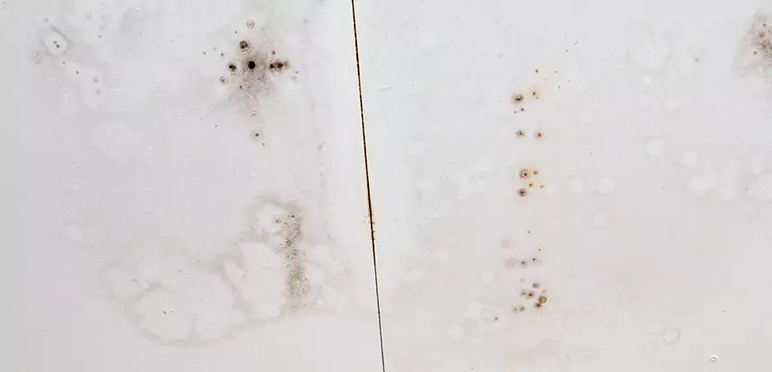 Professional Water Stain Repair Services in Moreland, GA