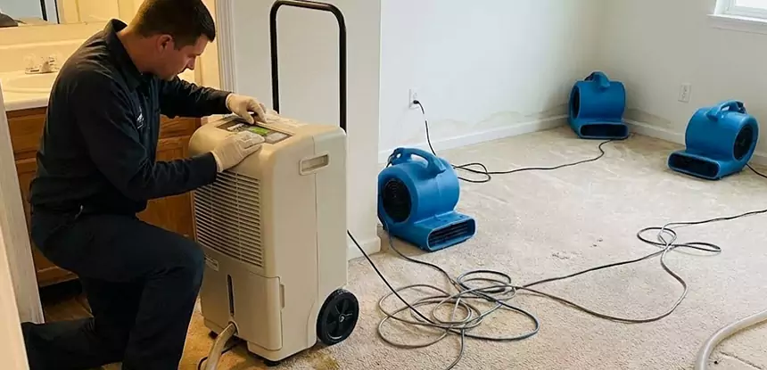 Professional Wet Carpet Removal Services in Moreland, GA