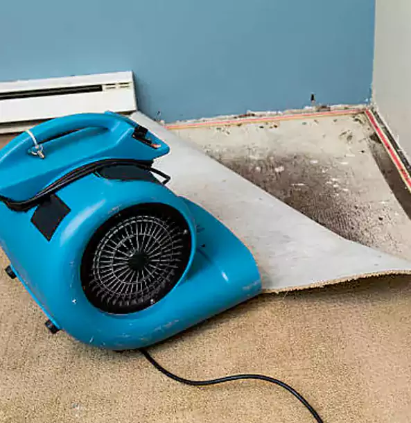 Why Moreland Trusts Moreland Restoration Pro for Carpet Flood Recovery?