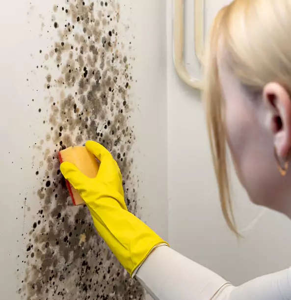 Why Moreland Restoration Pro Leads Mold Remediation in Moreland?