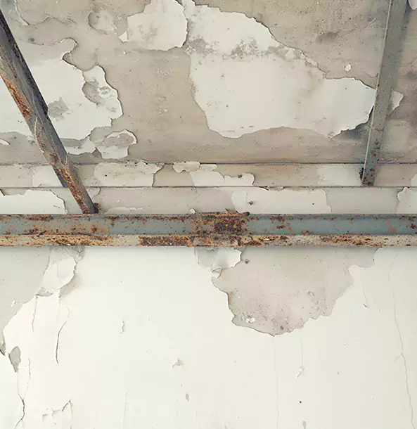 Why Moreland Restoration Pro Is the Right Choice in Moreland, GA?