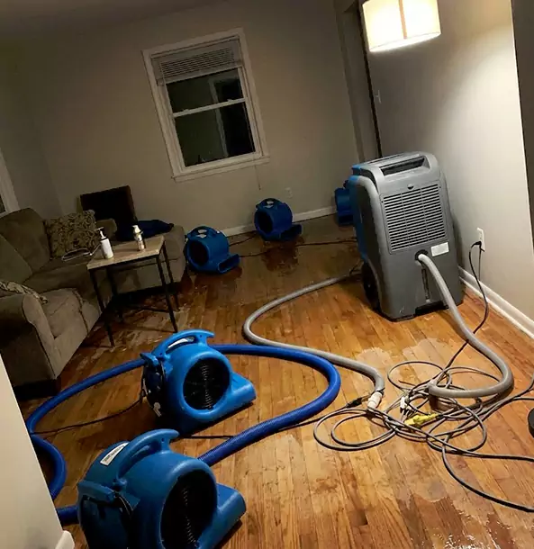 Why Moreland Property Owners Rely on Moreland Restoration Pro for Remediation?
