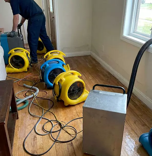Why Moreland Property Owners Choose Moreland Restoration Pro for Remediation?