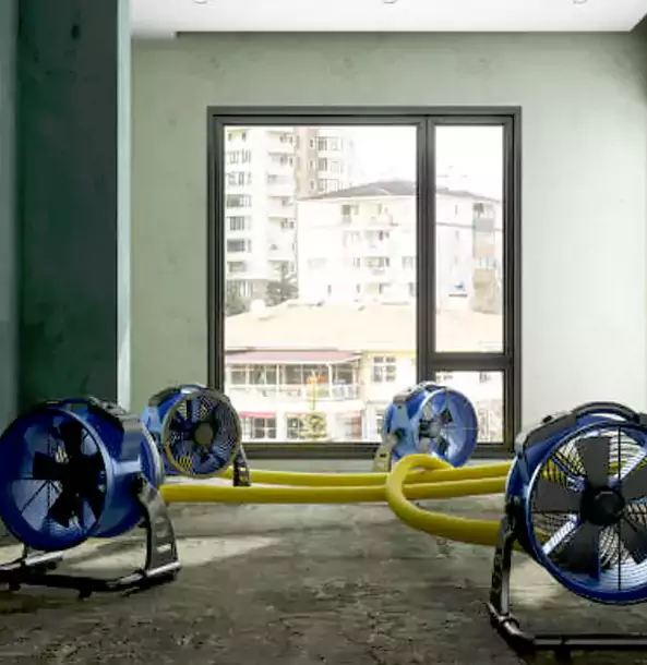 Why Moreland Property Owners Trust Moreland Restoration Pro for Water Damage Drying?