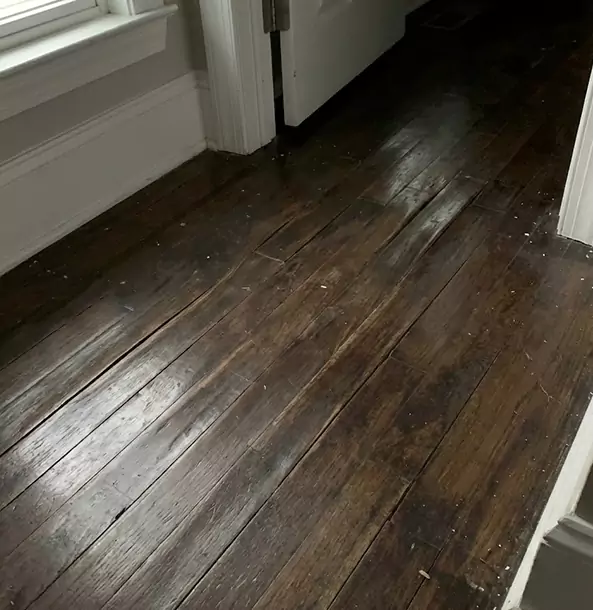 Why Moreland Homeowners Trust Moreland Restoration Pro to Fix Water Damaged Wood?