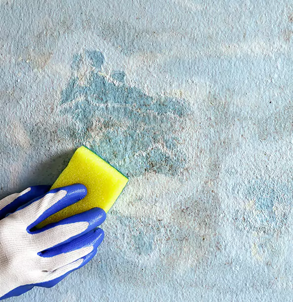 Why Moreland Restoration Pro Is the Right Choice in Moreland, GA?