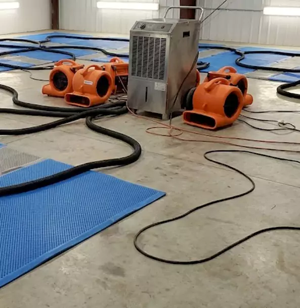 Why Moreland Homeowners and Businesses Choose Moreland Restoration Pro for Wet Carpet Removal?
