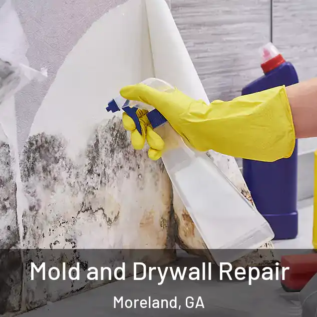  Mold and Drywall Repair Moreland, GA