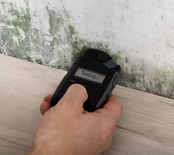 Mold Remediation Service Moreland