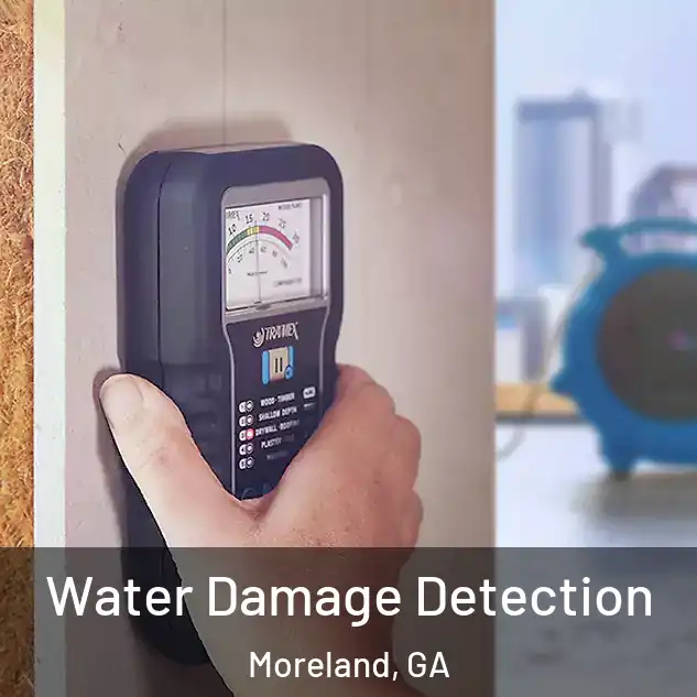  Water Damage Detection Moreland, GA