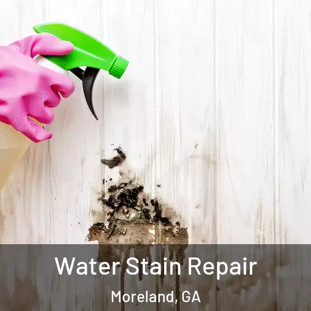  Water Stain Repair Moreland, GA