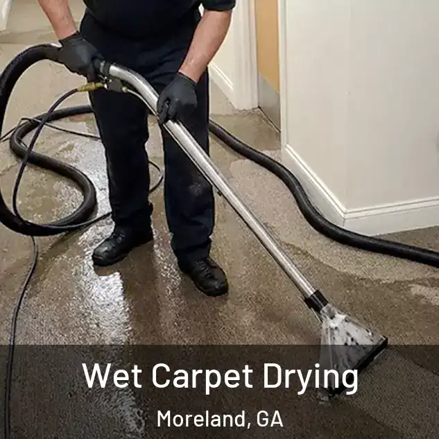  Wet Carpet Drying Moreland, GA